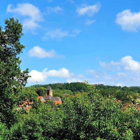 Kleines Domizil Am Suedhang Ortenberg  Exteriér fotografie