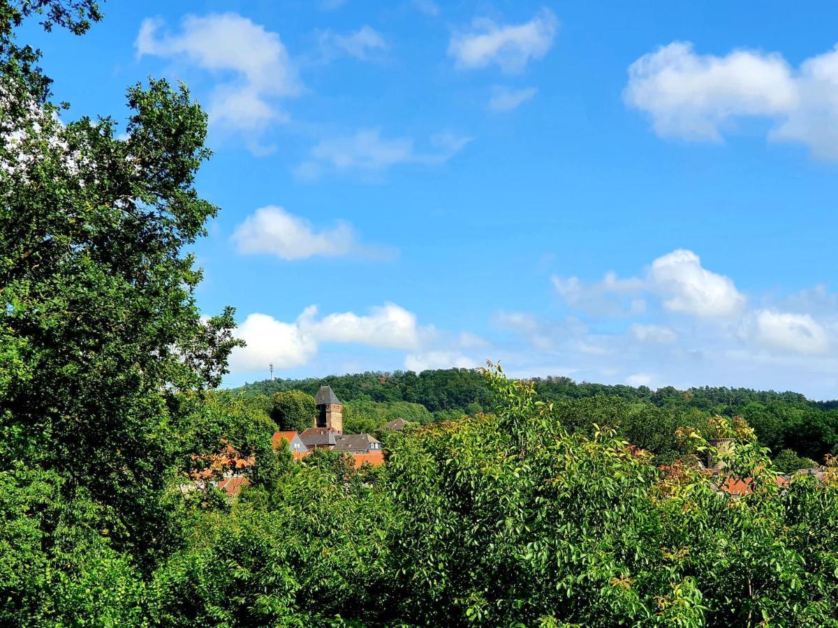 Kleines Domizil Am Suedhang Ortenberg  Exteriér fotografie