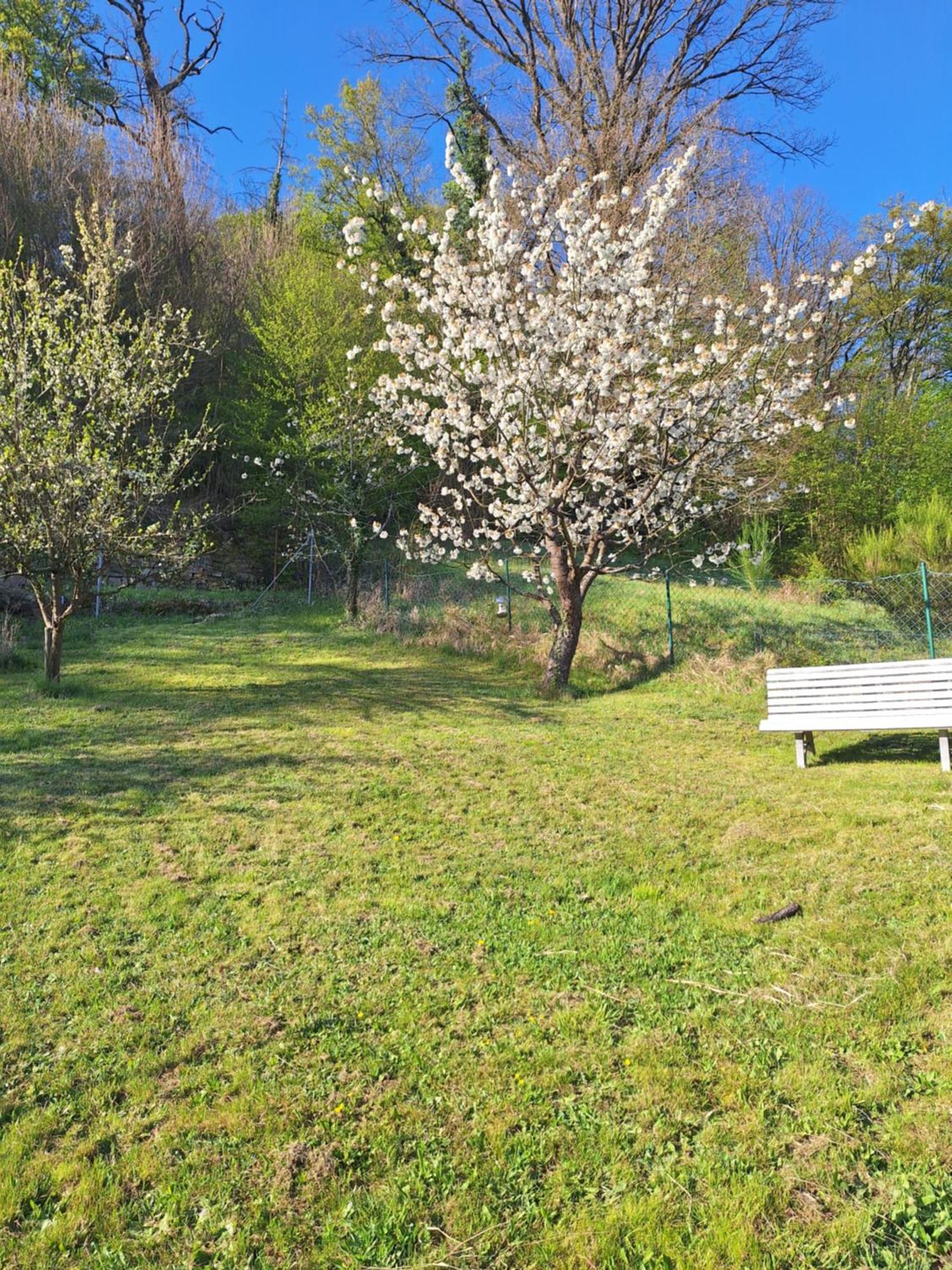 Kleines Domizil Am Suedhang Ortenberg  Exteriér fotografie